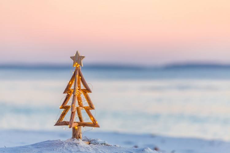 small decorative christmas tree on beach