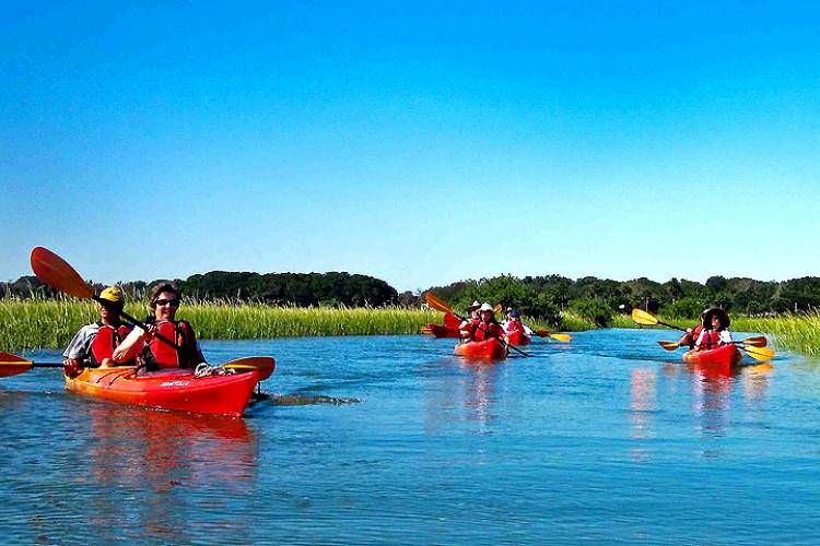 eco tours eco tours