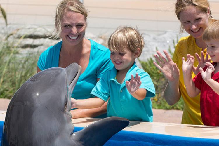 Marineland in St. Augustine Florida